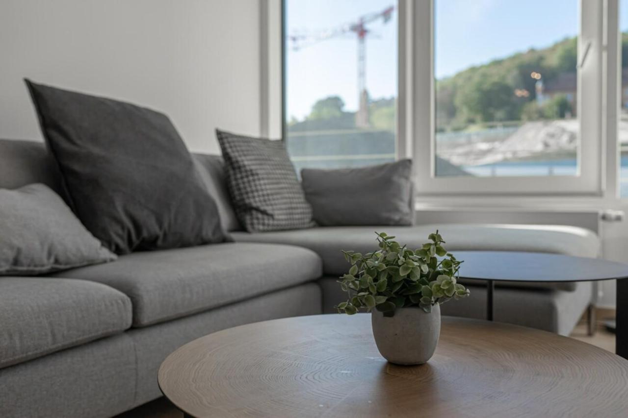 L'Estrade Appartement 阿讷西 外观 照片